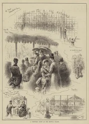 Eine Feuerwerksnacht im Crystal Palace